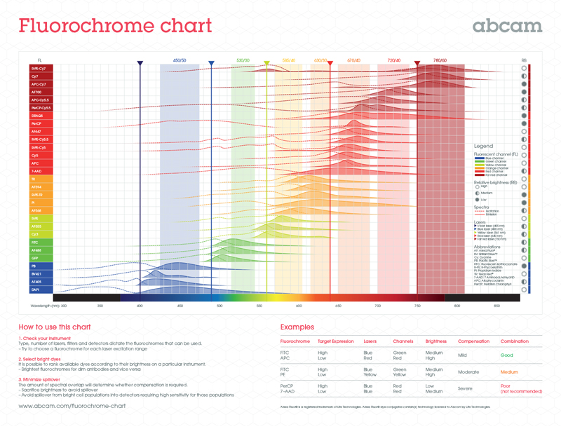 Flow cytometry training Abcam